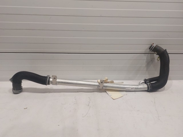 Lower Hose